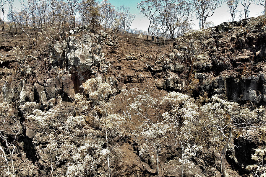 Mount-Mistake-aftermath-of-bushfire